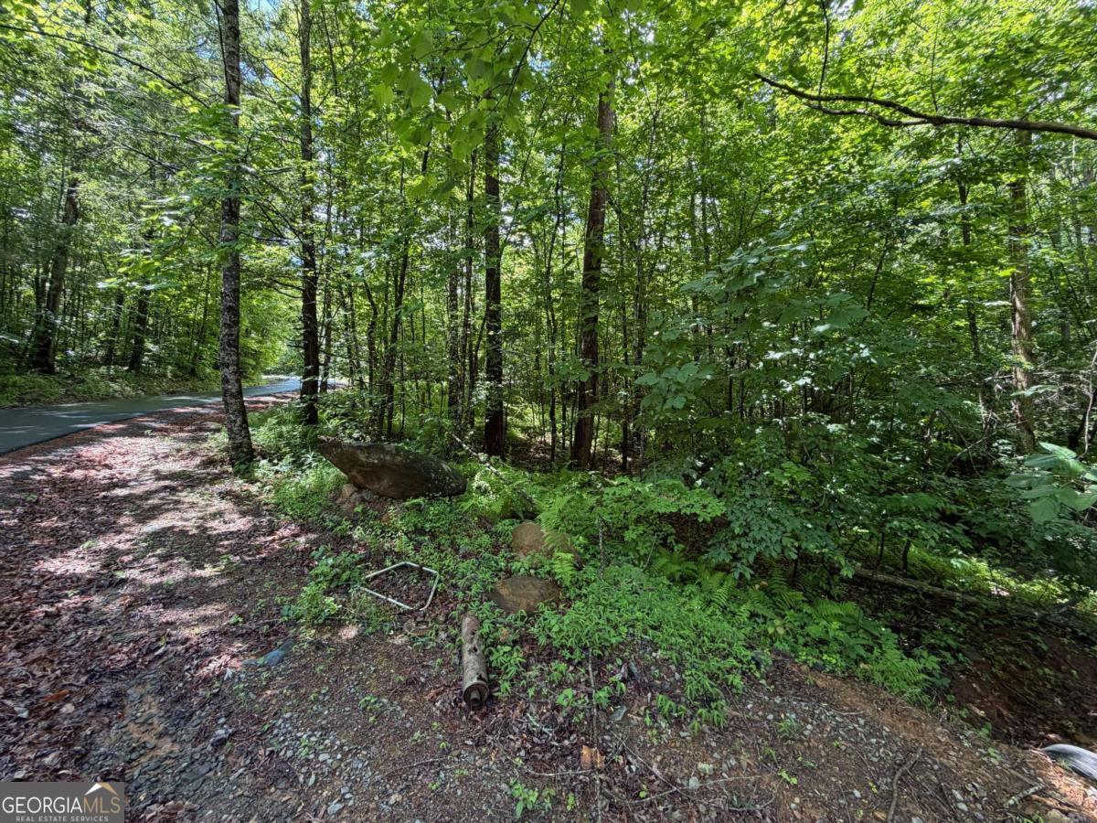 2.75AC Quail Ridge Road Epworth GA 30541