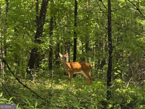 2.75AC Quail Ridge Road Epworth GA 30541