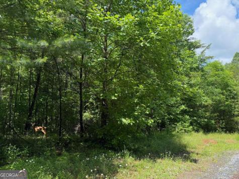 2.75AC Quail Ridge Road Epworth GA 30541
