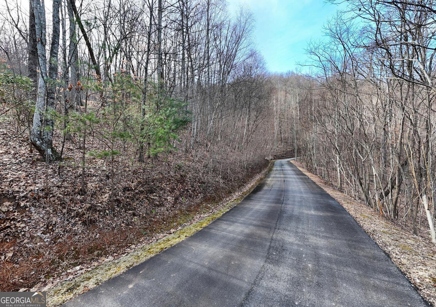 8 Overlook At Y.h Young Harris GA 30582