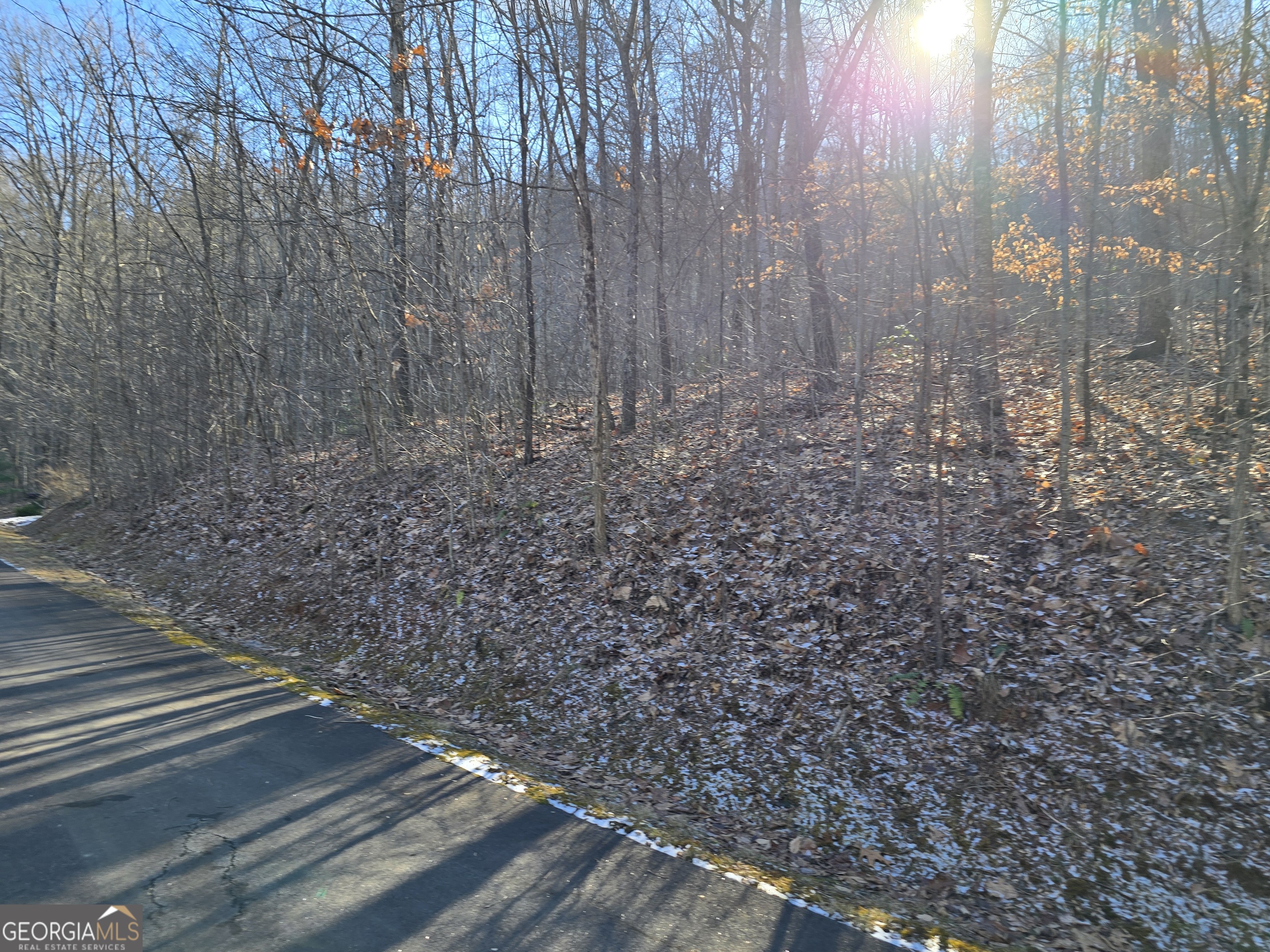 8 Overlook At Y.h Young Harris GA 30582