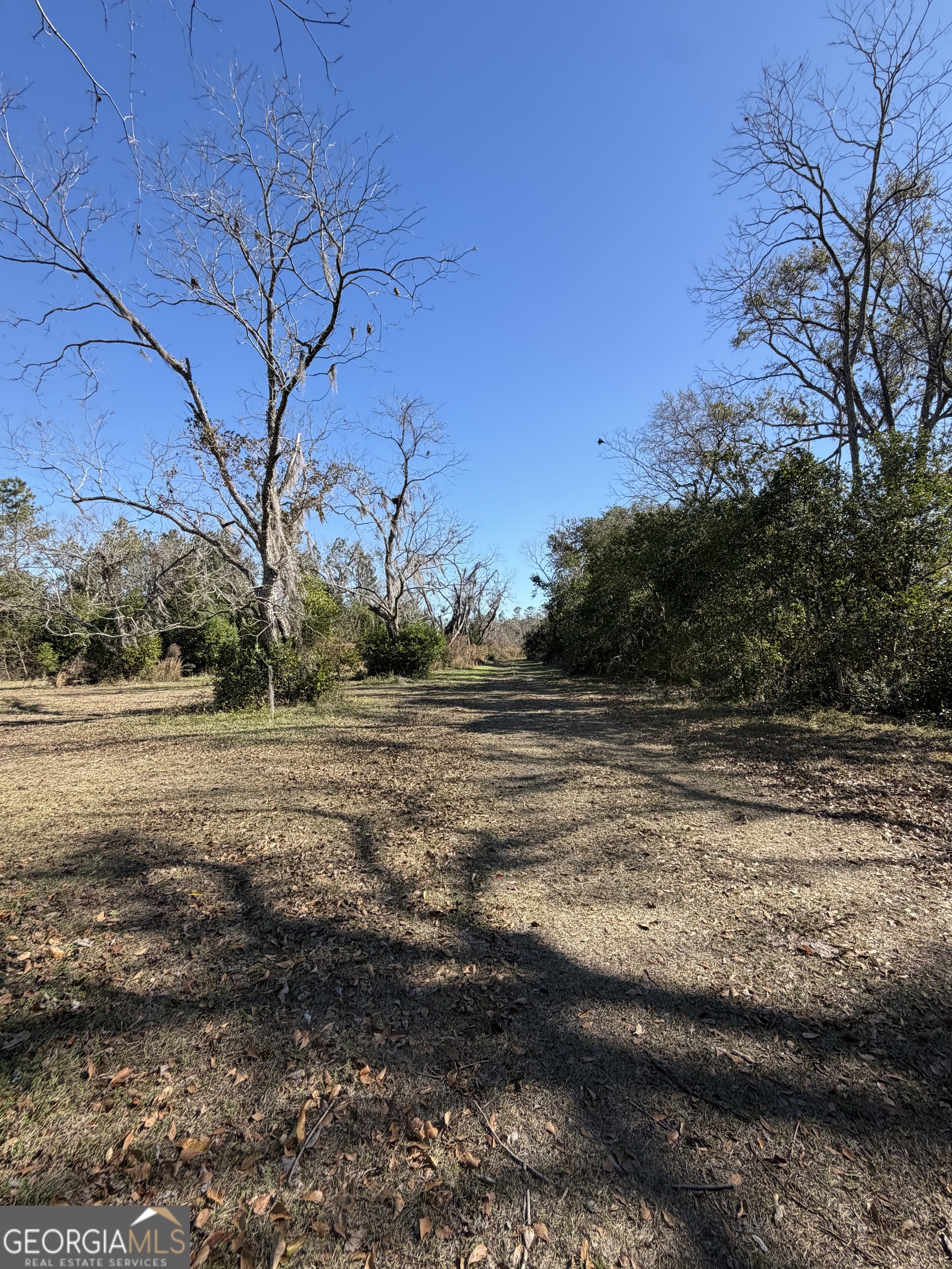 174 Baskins Road Lakeland GA 31635