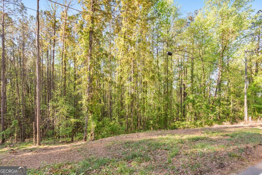 0 Bailey Road Woodstock GA 30188