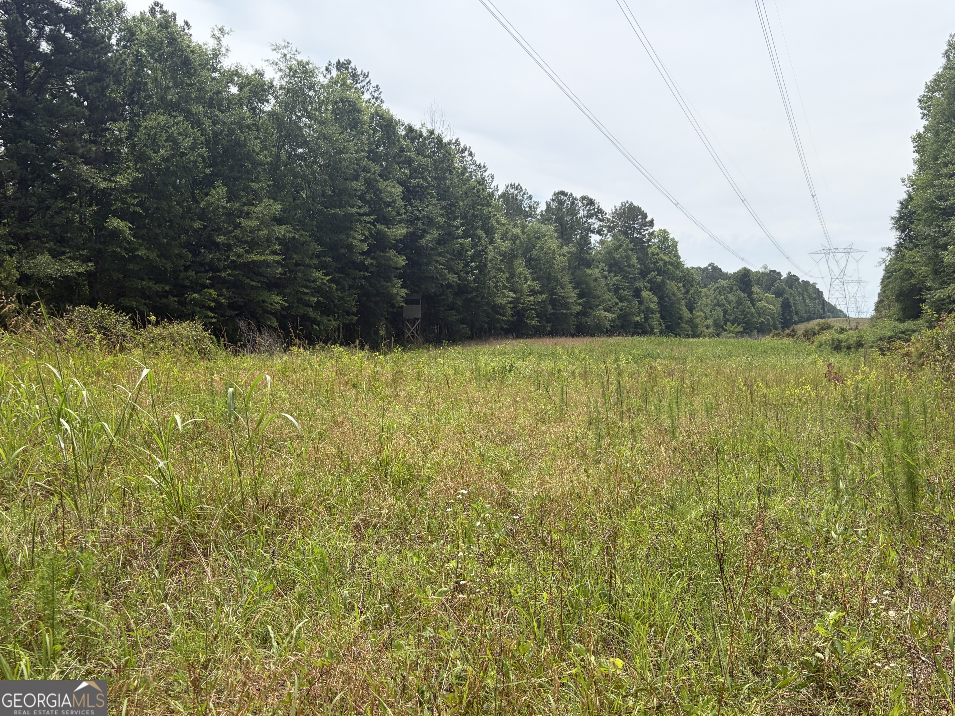 3 Sunhill Grange Road Davisboro GA 31018