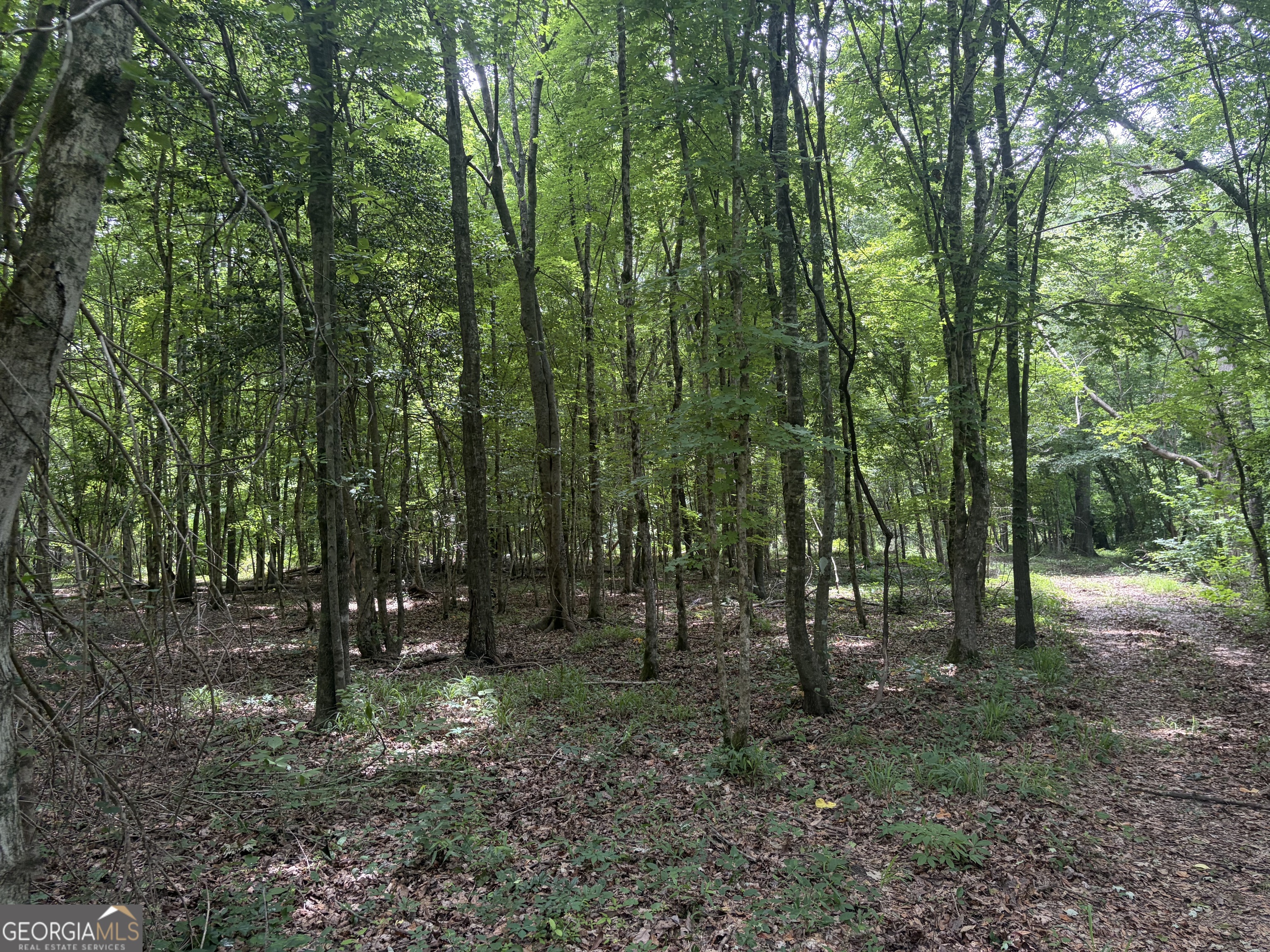 3 Sunhill Grange Road Davisboro GA 31018