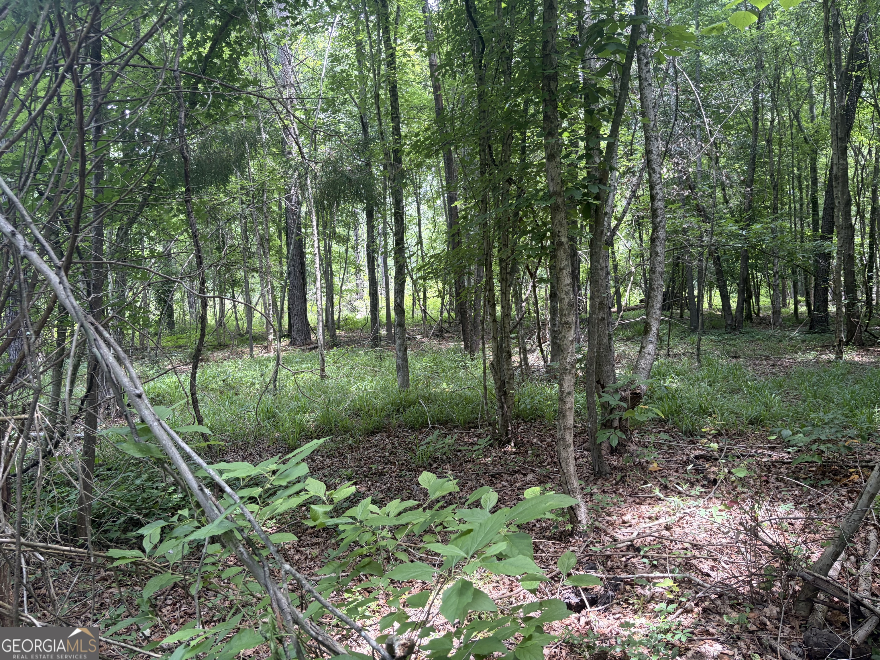 3 Sunhill Grange Road Davisboro GA 31018