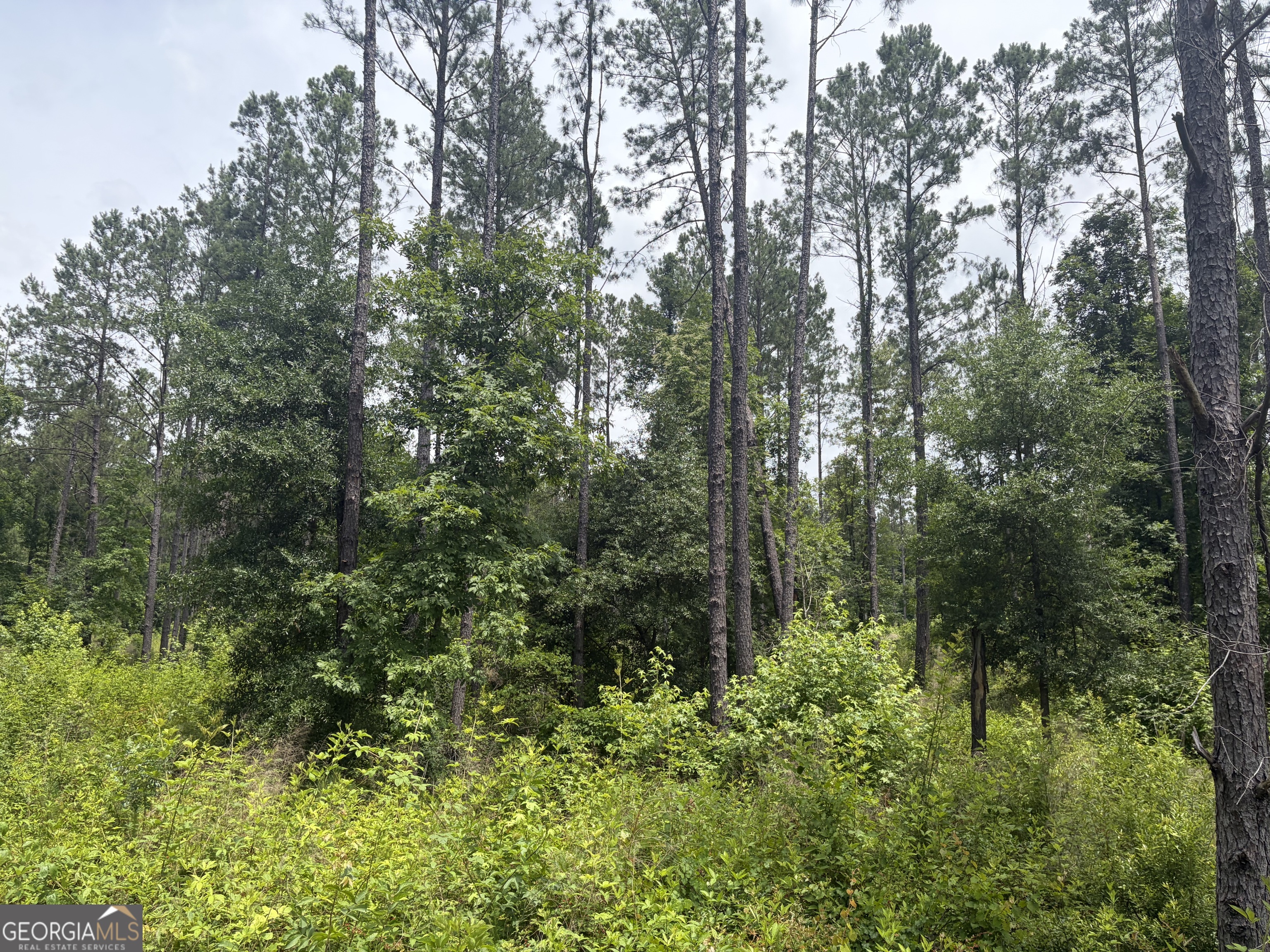 3 Sunhill Grange Road Davisboro GA 31018