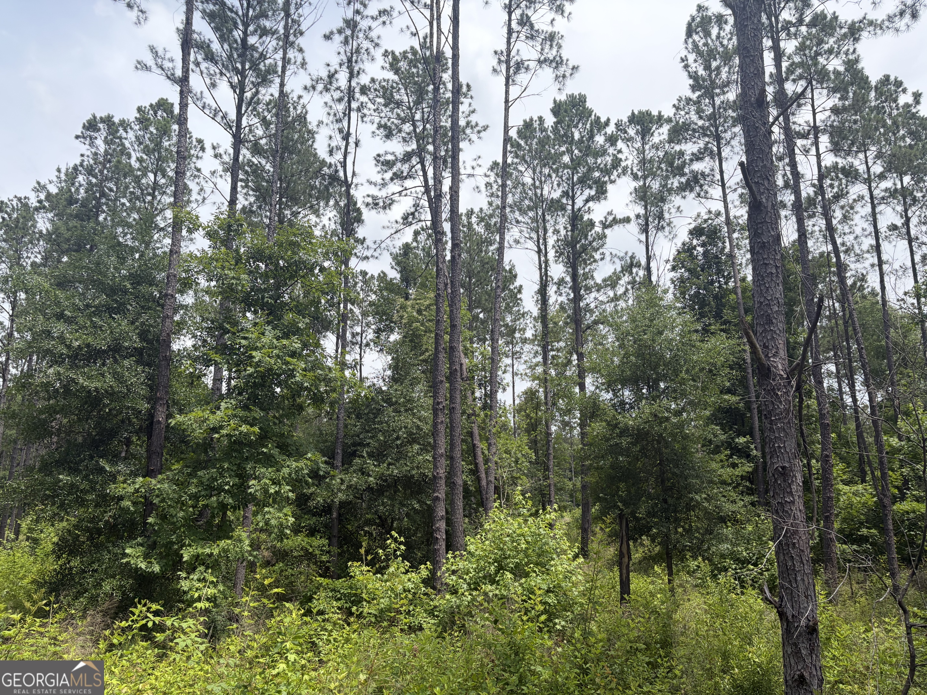 3 Sunhill Grange Road Davisboro GA 31018