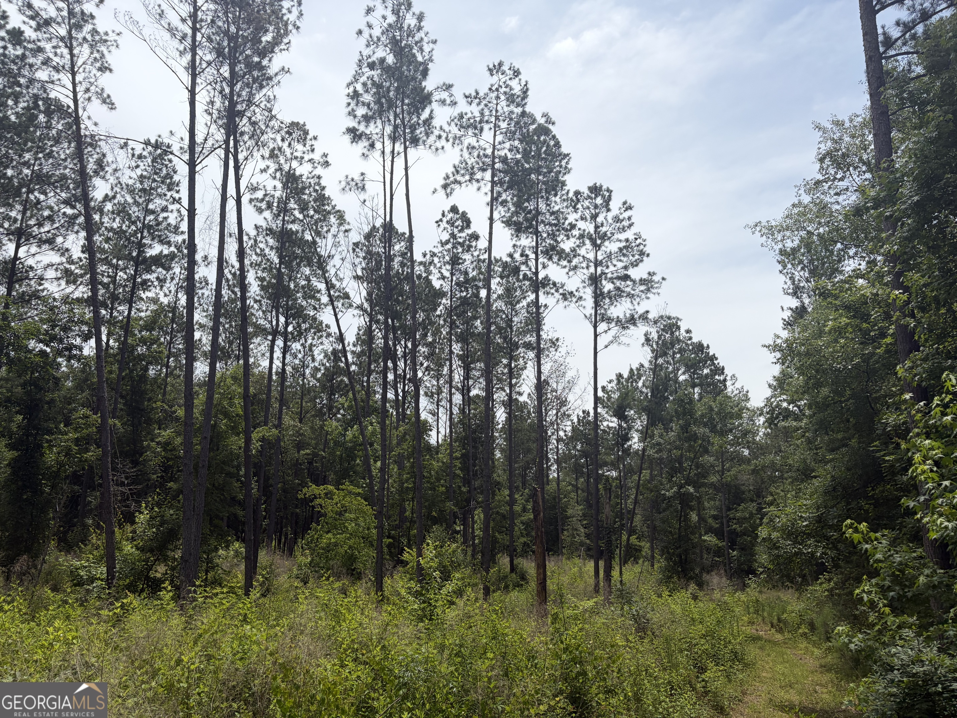 3 Sunhill Grange Road Davisboro GA 31018