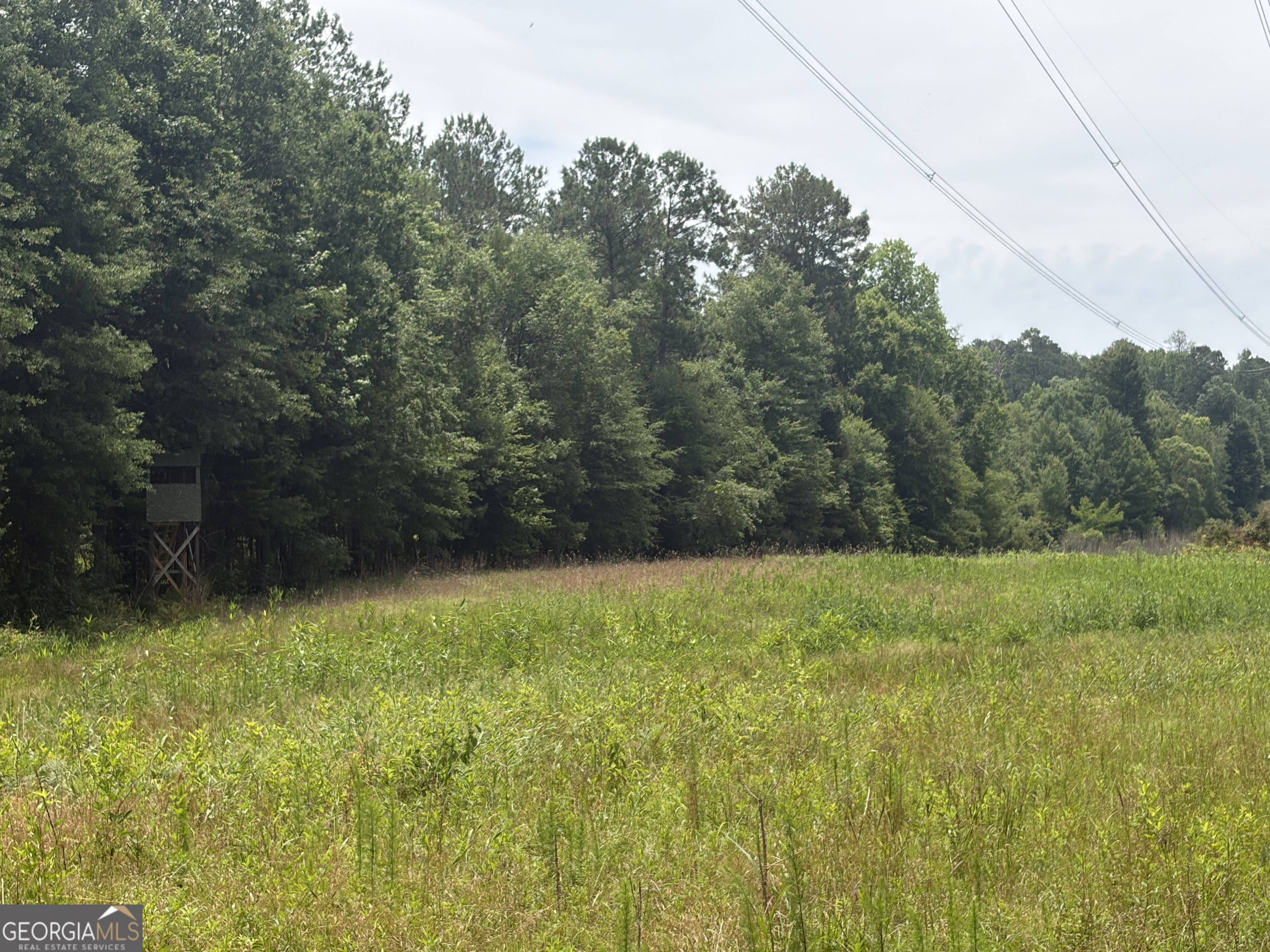 3 Sunhill Grange Road Davisboro GA 31018