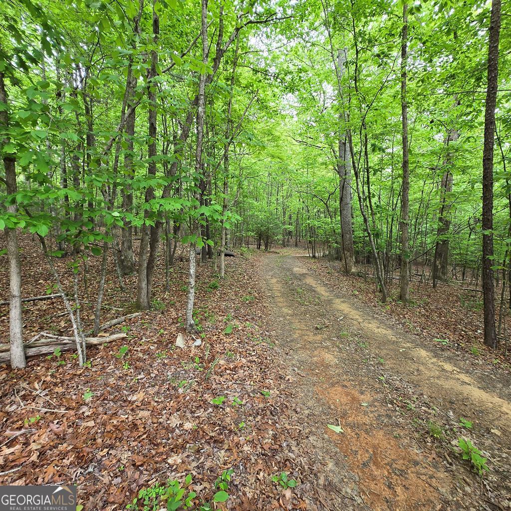 3.5ACRE Dusty Trail Morganton GA 30560