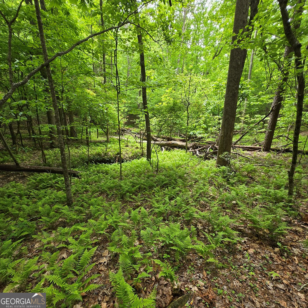 3.5ACRE Dusty Trail Morganton GA 30560