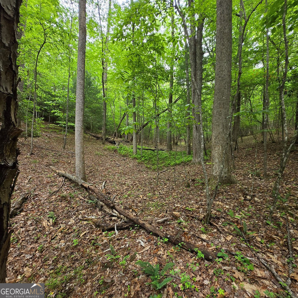3.5ACRE Dusty Trail Morganton GA 30560