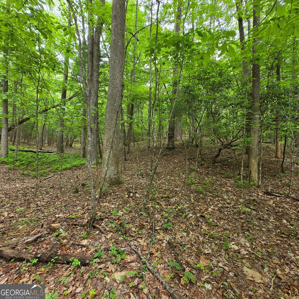 3.5ACRE Dusty Trail Morganton GA 30560