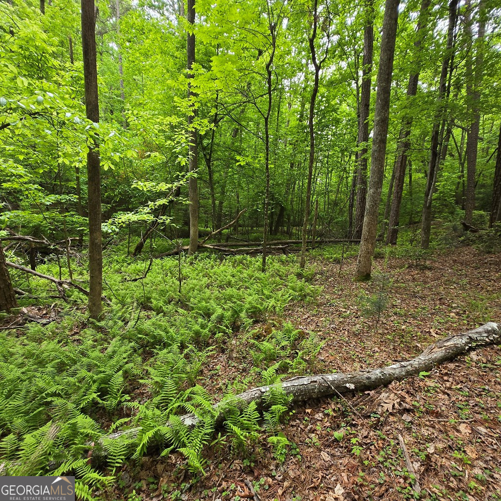 3.5ACRE Dusty Trail Morganton GA 30560