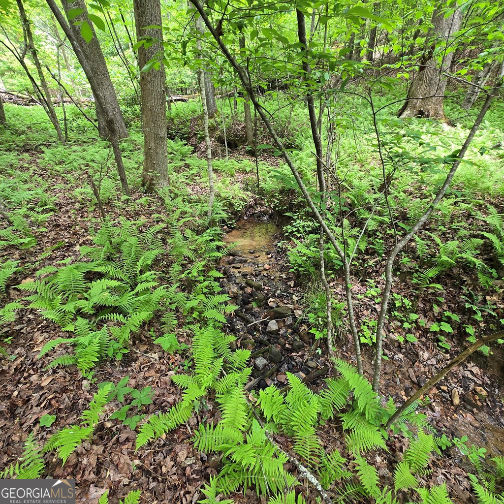 3.5ACRE Dusty Trail Morganton GA 30560