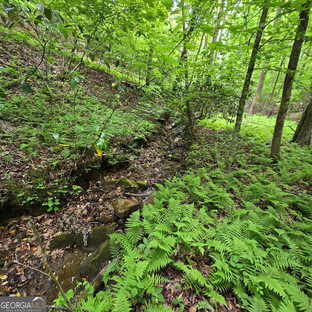 3.5ACRE Dusty Trail Morganton GA 30560