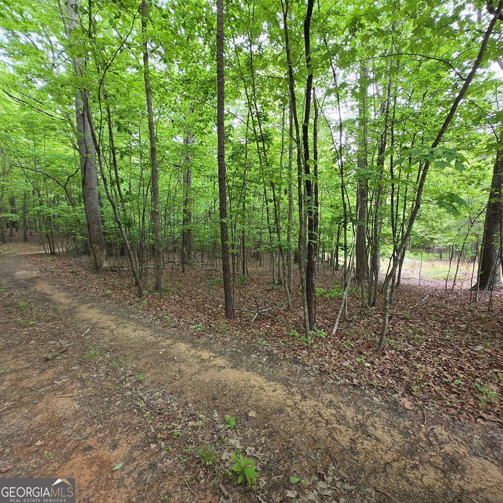 3.5ACRE Dusty Trail Morganton GA 30560