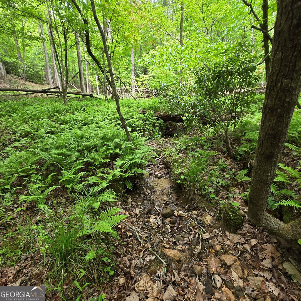3.5ACRE Dusty Trail Morganton GA 30560