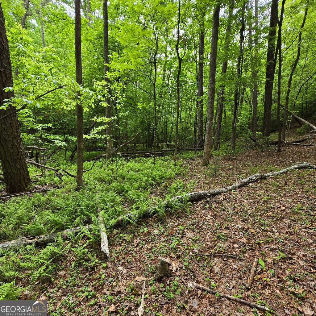3.5ACRE Dusty Trail Morganton GA 30560