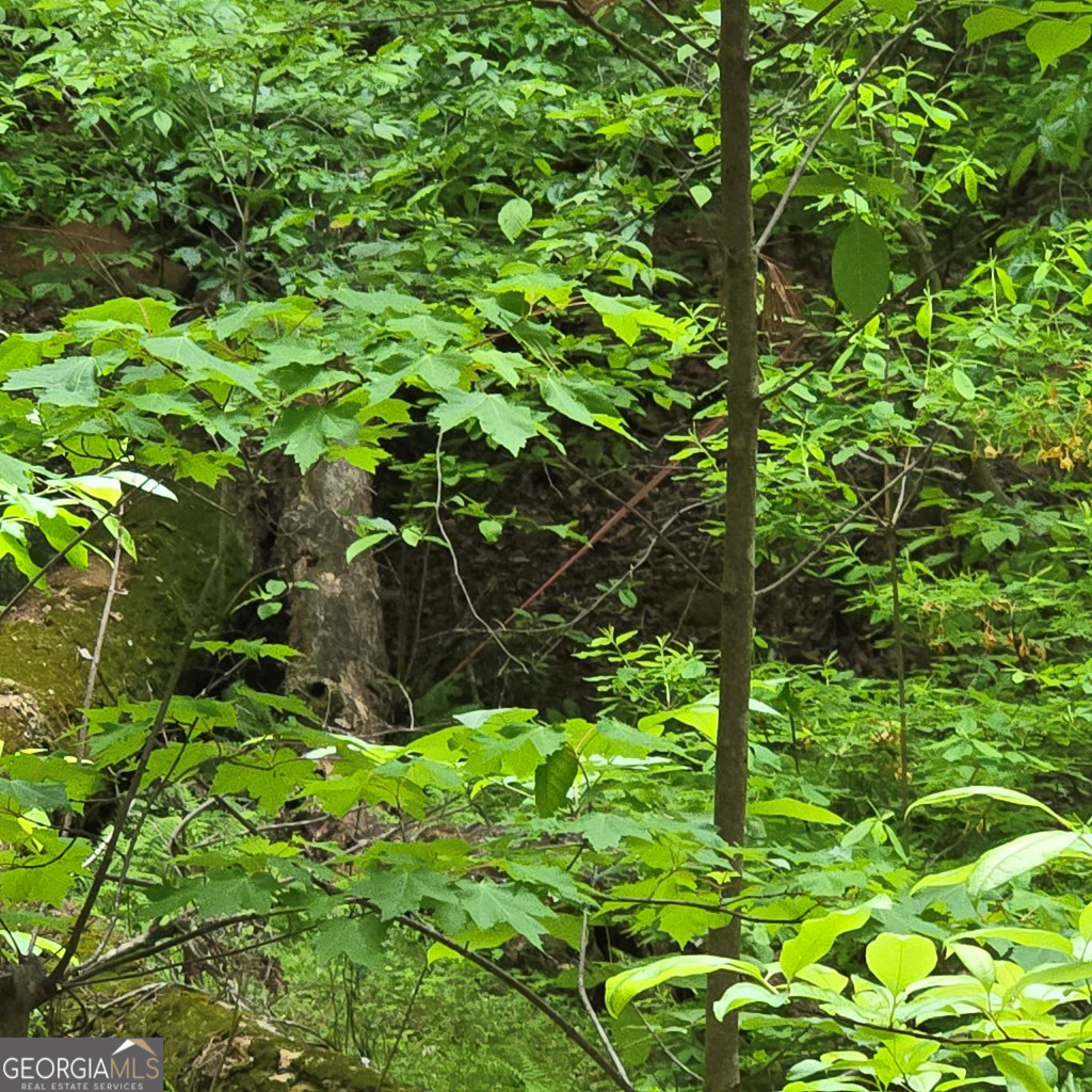 3.5ACRE Dusty Trail Morganton GA 30560