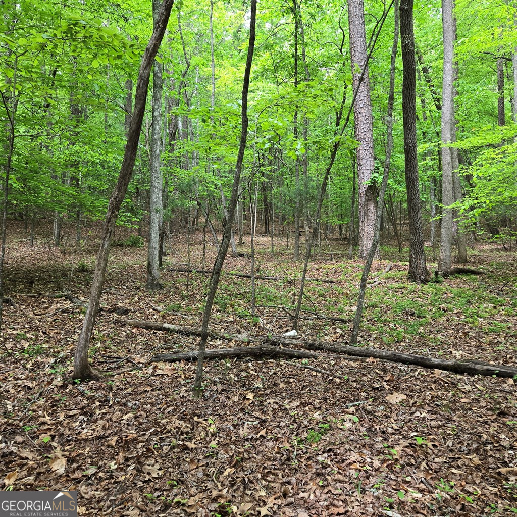 3.5ACRE Dusty Trail Morganton GA 30560