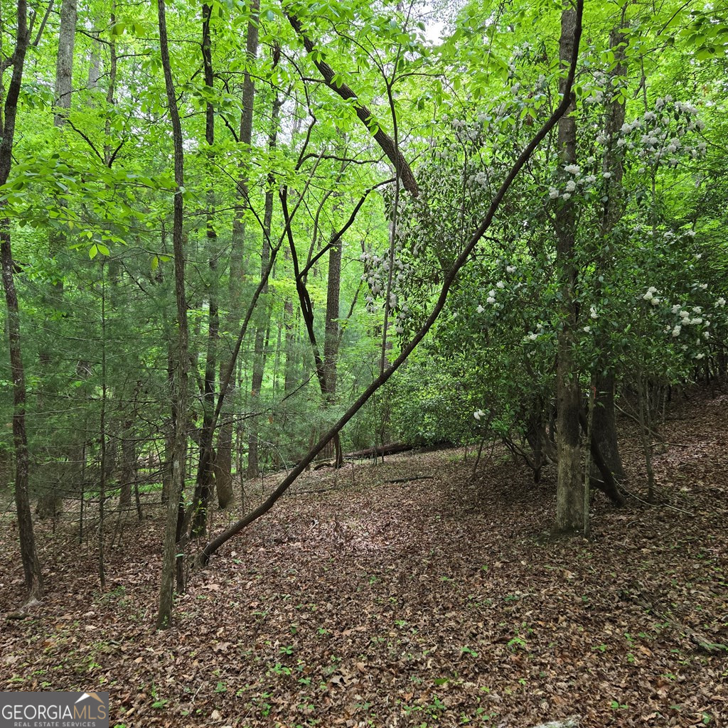 3.5ACRE Dusty Trail Morganton GA 30560
