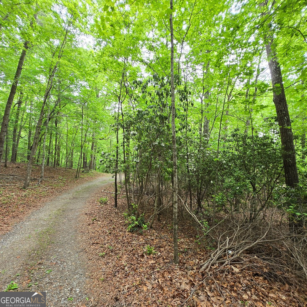 3.5ACRE Dusty Trail Morganton GA 30560