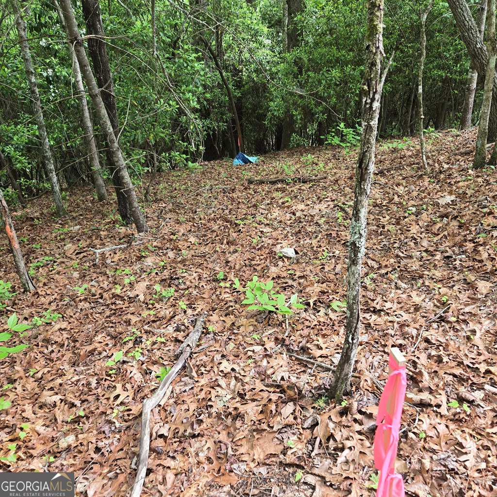 3.5ACRE Dusty Trail Morganton GA 30560