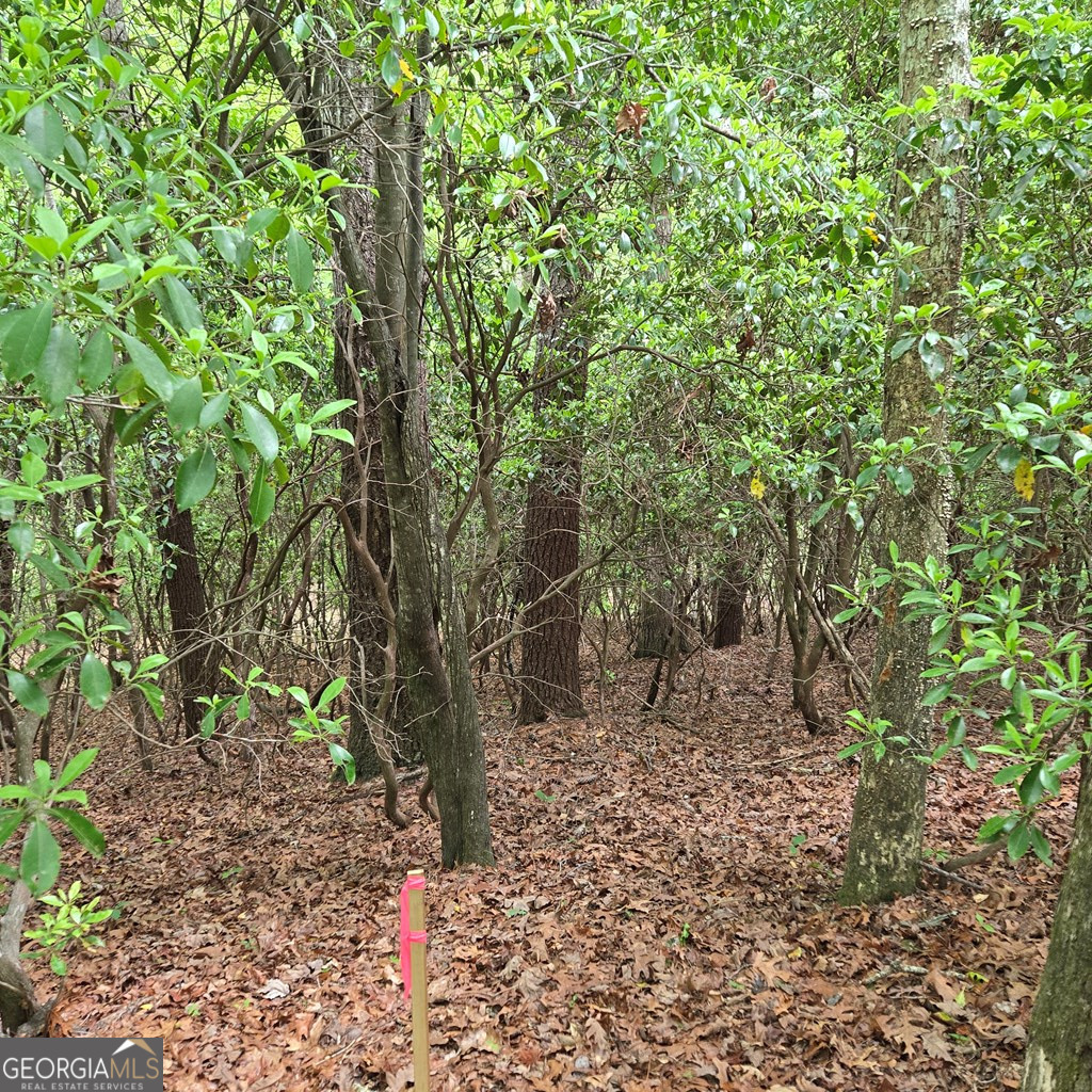3.5ACRE Dusty Trail Morganton GA 30560
