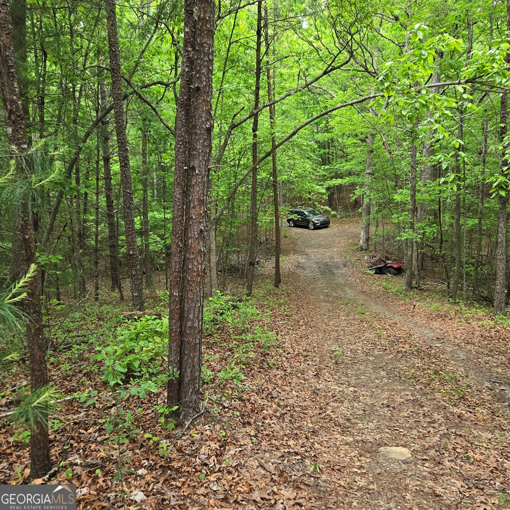 3.5ACRE Dusty Trail Morganton GA 30560
