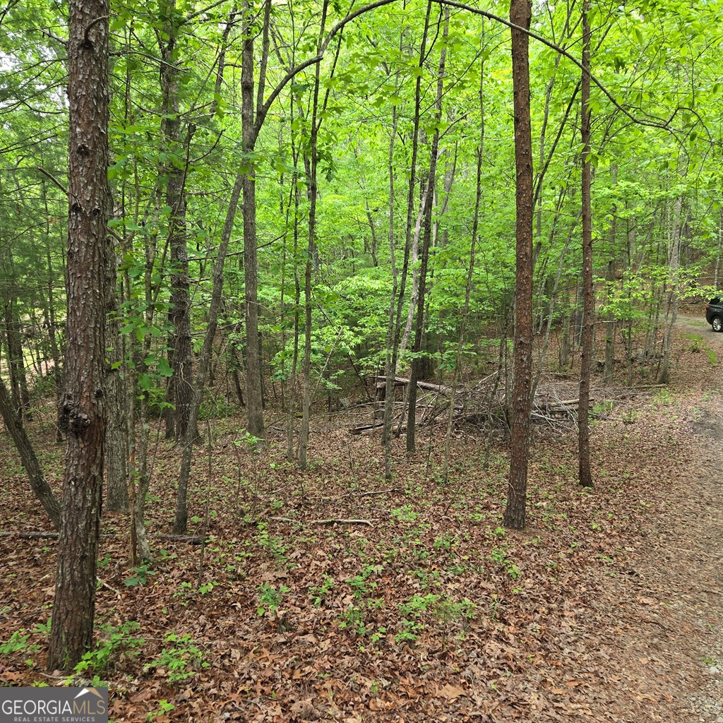 3.5ACRE Dusty Trail Morganton GA 30560