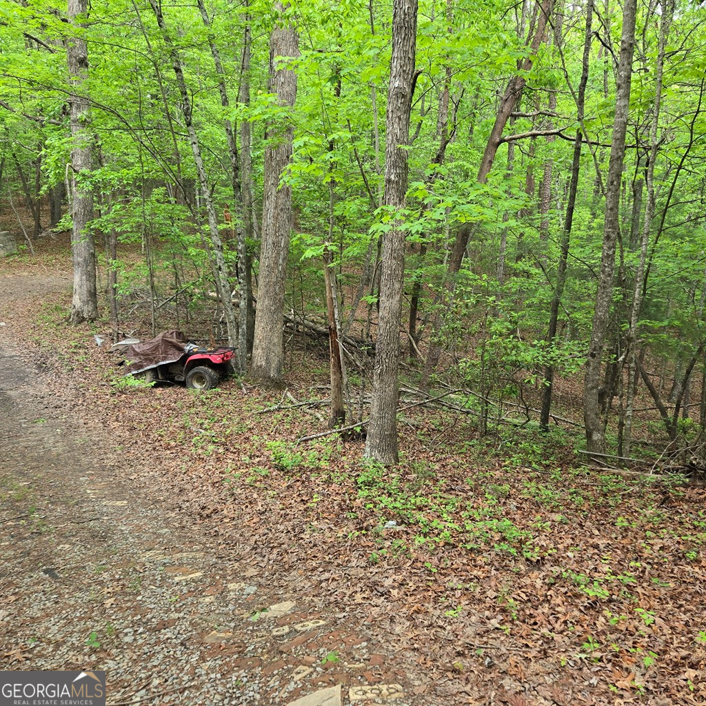 3.5ACRE Dusty Trail Morganton GA 30560