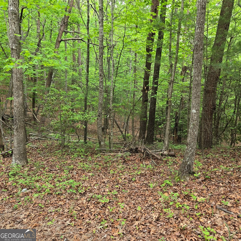 3.5ACRE Dusty Trail Morganton GA 30560