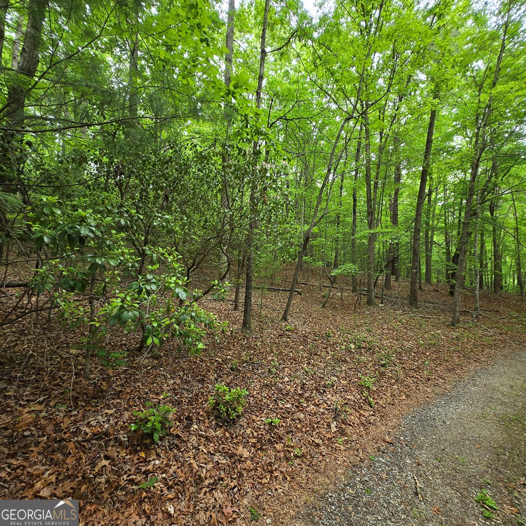 3.5ACRE Dusty Trail Morganton GA 30560