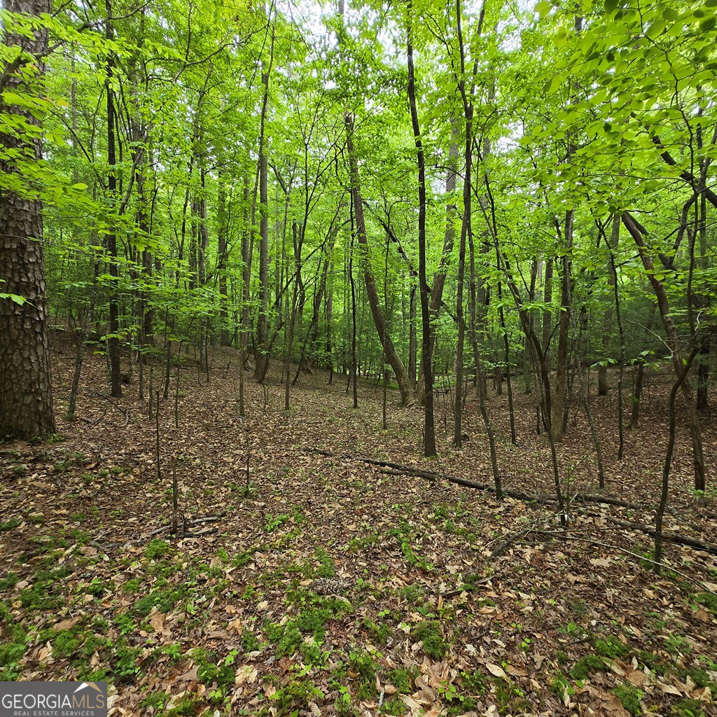 3.5ACRE Dusty Trail Morganton GA 30560
