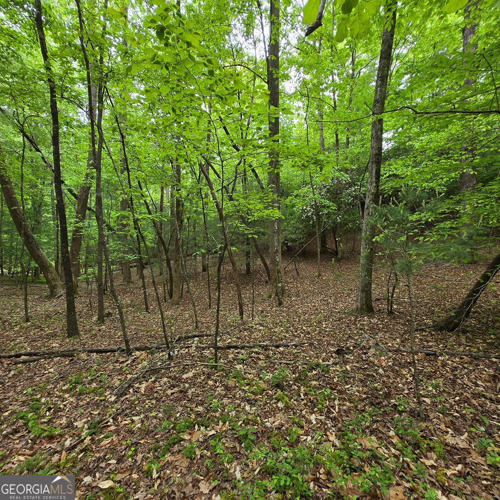3.5ACRE Dusty Trail Morganton GA 30560