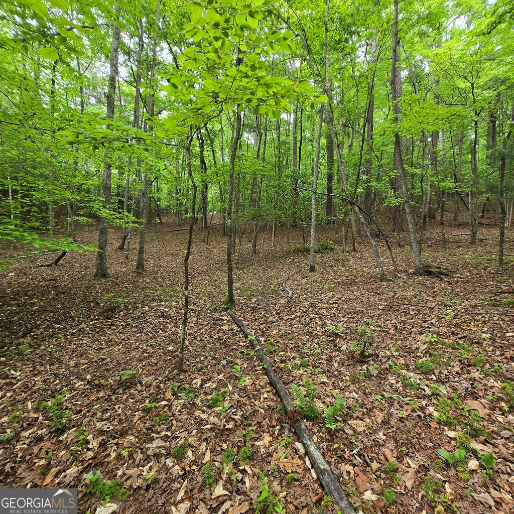 3.5ACRE Dusty Trail Morganton GA 30560