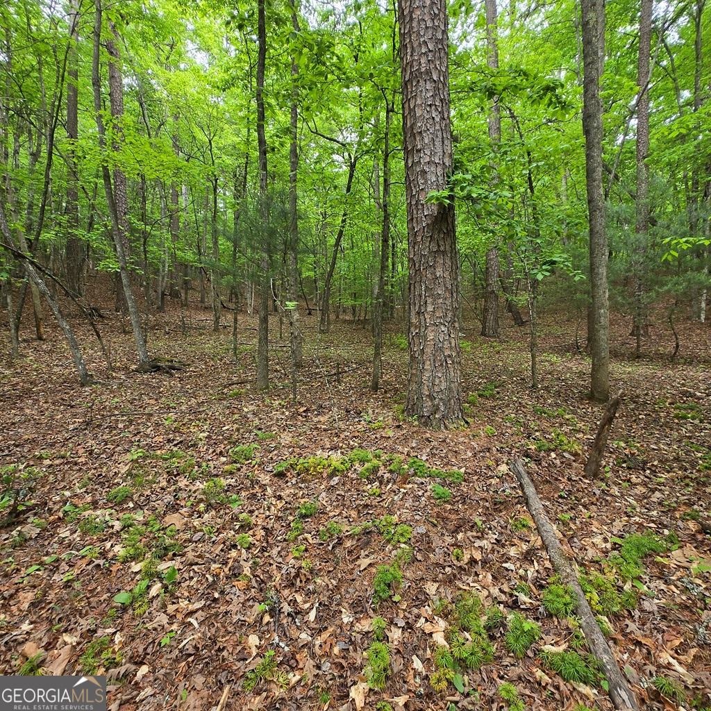 3.5ACRE Dusty Trail Morganton GA 30560