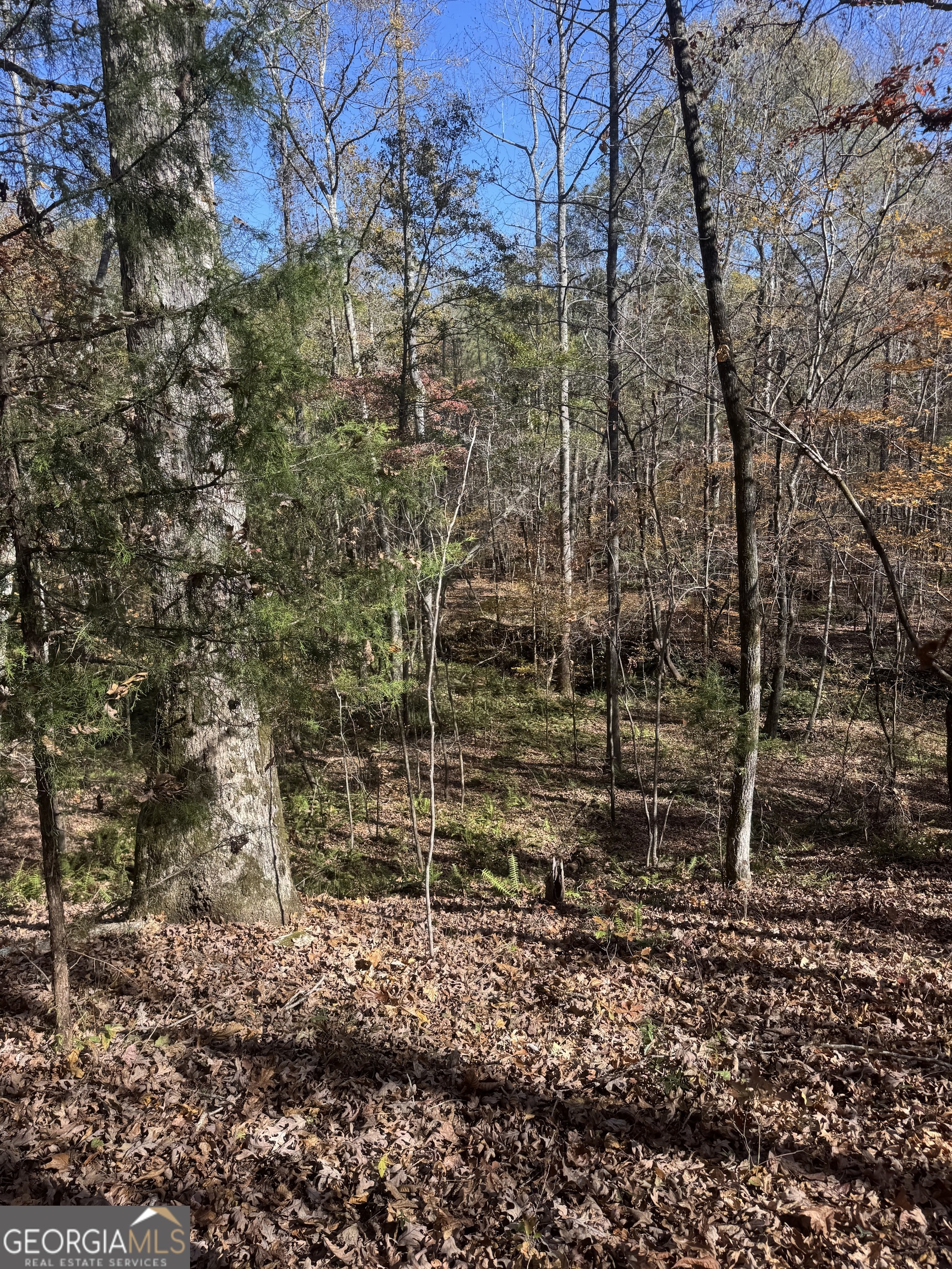 4509 Highway 18 West Point GA 31833