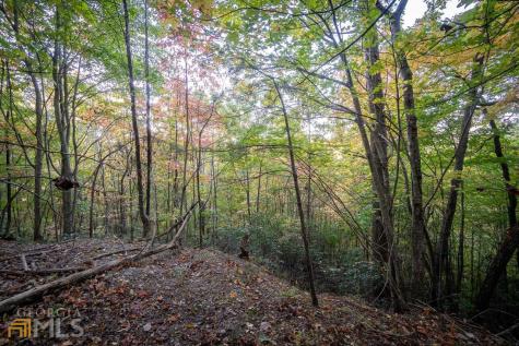 0 Mountain View Drive Cleveland GA 30528