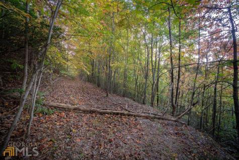 0 Mountain View Drive Cleveland GA 30528