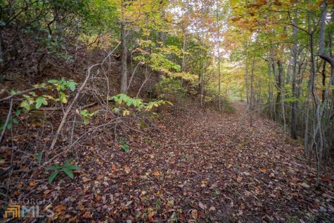 0 Mountain View Drive Cleveland GA 30528