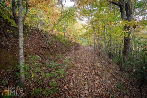 0 Mountain View Drive Cleveland GA 30528