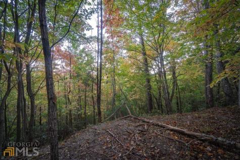 0 Mountain View Drive Cleveland GA 30528