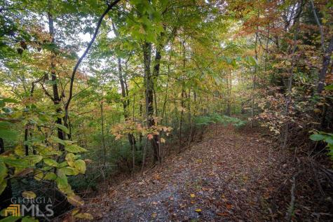 0 Mountain View Drive Cleveland GA 30528