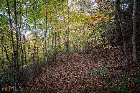 0 Mountain View Drive Cleveland GA 30528