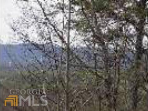0 Mountain View Drive Cleveland GA 30528