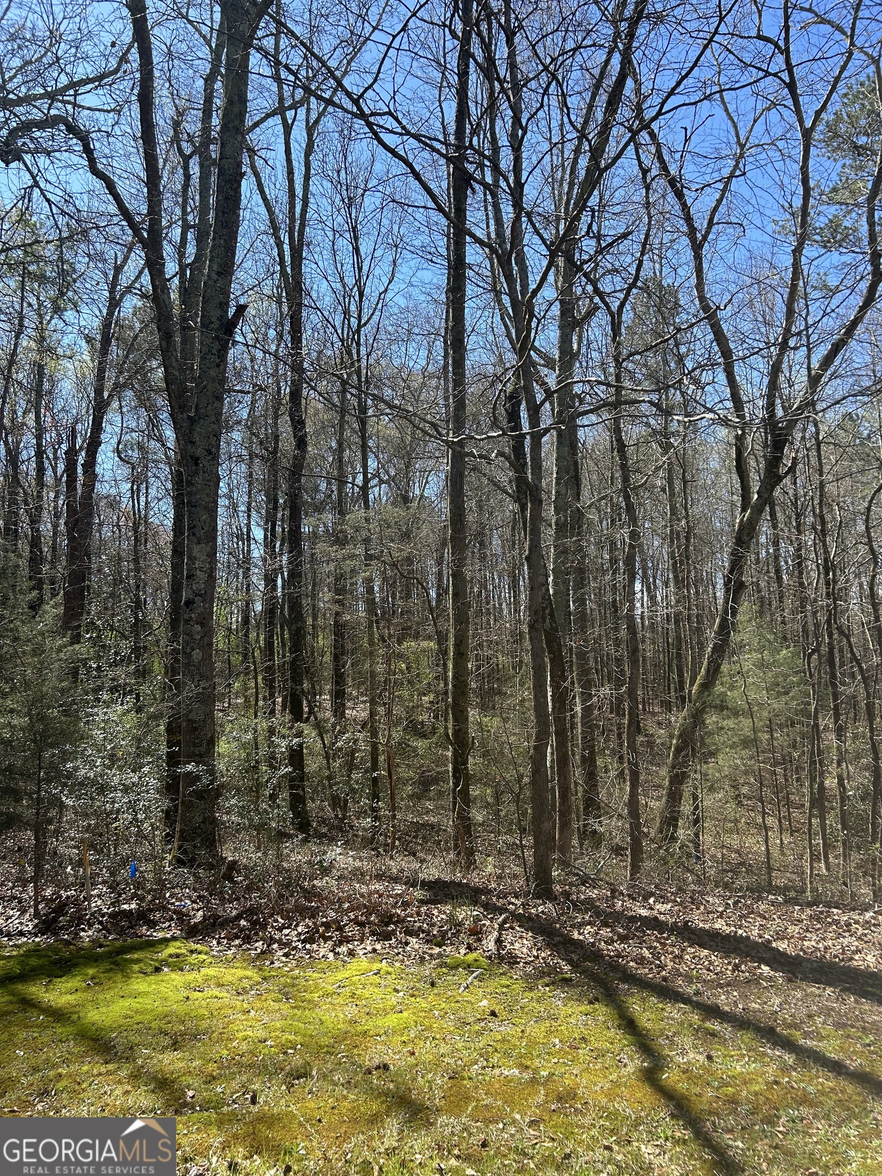 0 Harts Mill Road Hartwell GA 30643