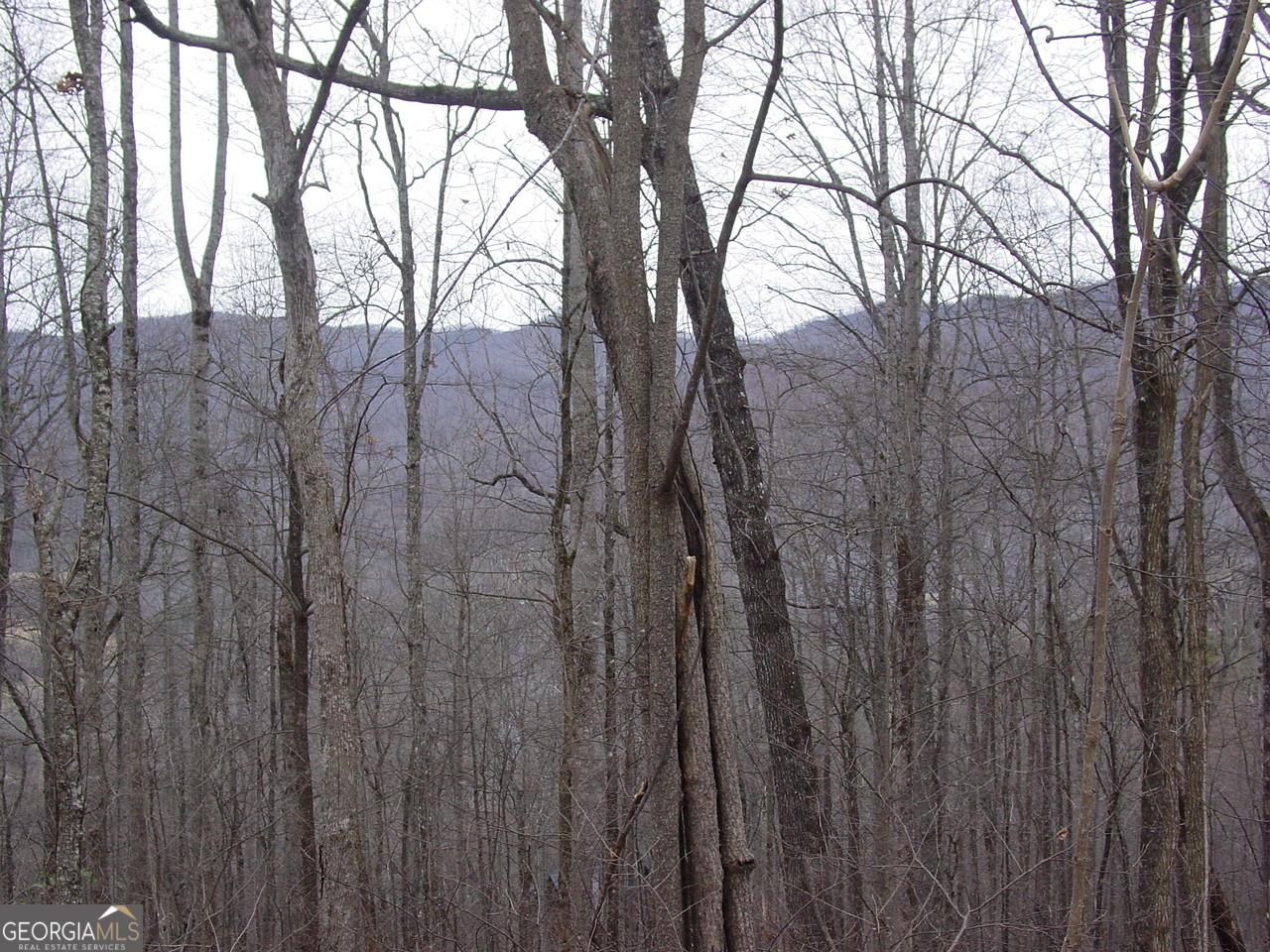 #16 Roaring Ridge Hiawassee GA 30546